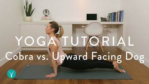 Cobra Pose vs. Upward Facing Dog (How to do it PROPERLY!)