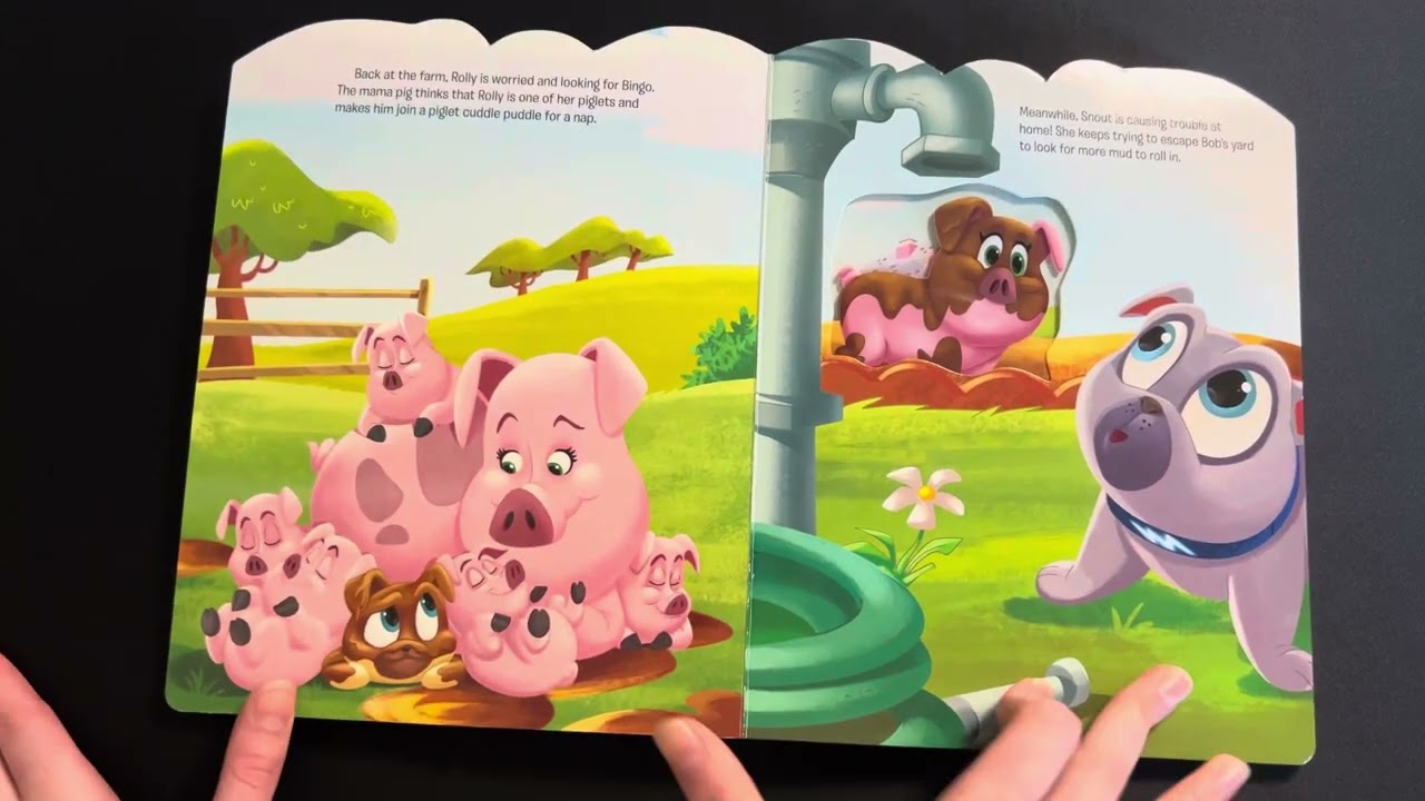 When Pigs Fly - Training Success With Impossible Dogs - Shopworn, image size:1280x720