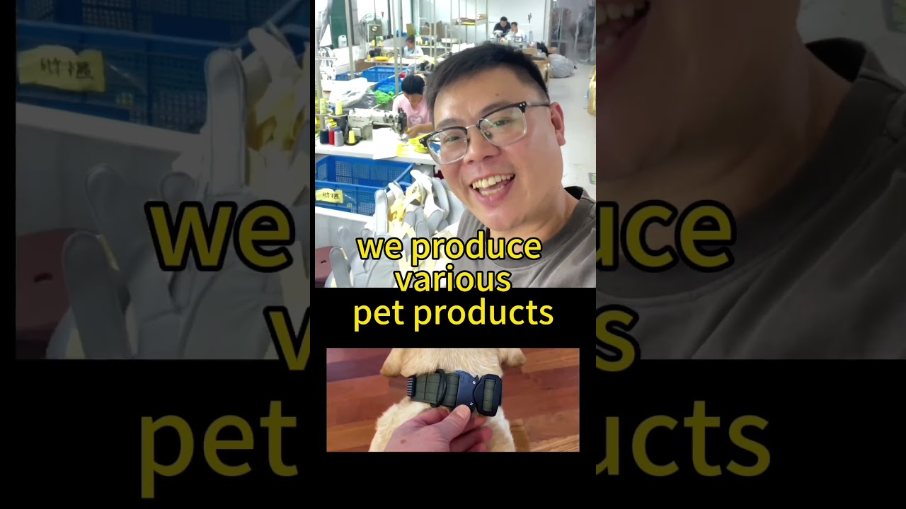 Yiwu Pet Products Direct Sales Factory (China)🐾  OEM/ODM WeCh +8619578128038 