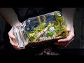 Sealed Aquarium Ecosphere (Aquascape in a Jar)