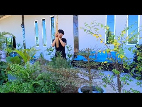 บรรเลงแคนลายลำเพลิน [แบงค์ อภิชาติ]