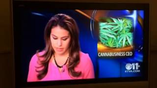 KTVA reporter quits on air, reveals herself as owner of Alaska Cannabis Club