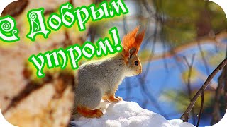 С Добрым Утром! 🌸Пусть Солнечный Лучик Теплом Согревает!🌸Good Evening!🌸