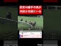 競馬の展開予想って本当に意味ないよな #競馬