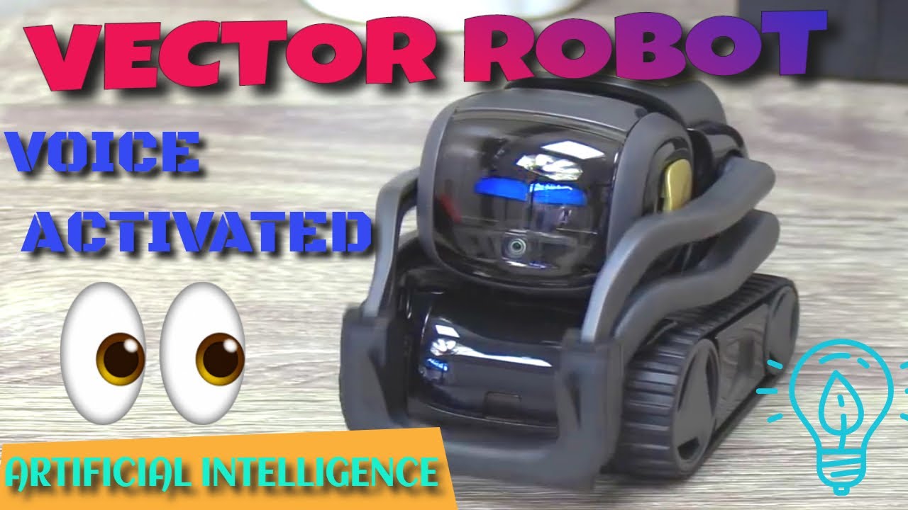 Vector Robot Home Robot Who Hangs Out YouTube