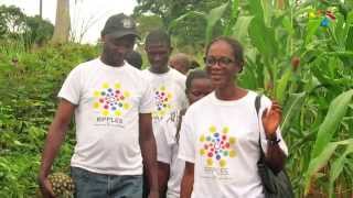 What We Do in Cameroon | Ripples Foundation