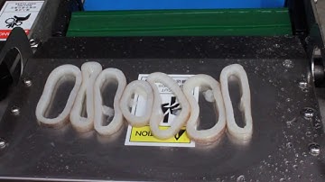 Squid Rings Slicing Cutting Machine