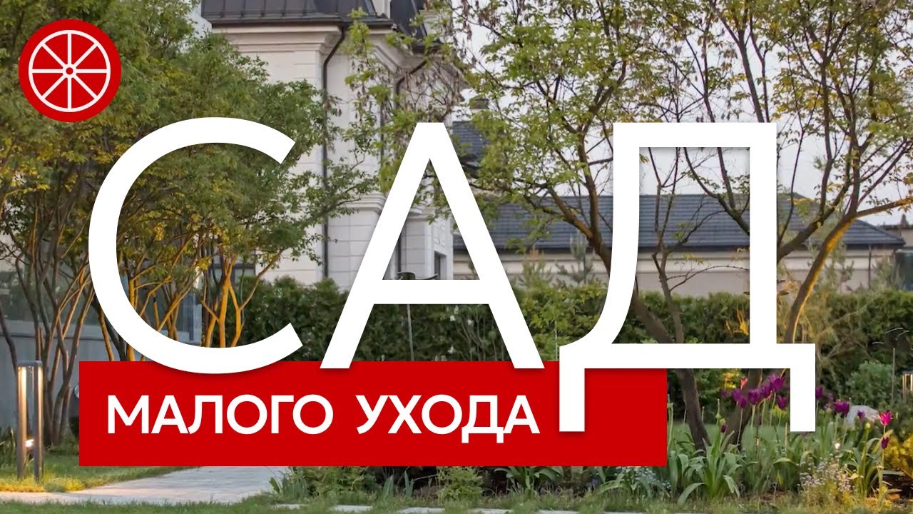 Сад без ухода | Как создать сад малого ухода или уменьшить работы в саду? 