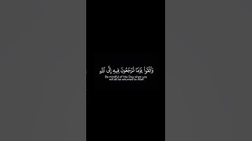 قران شاشه سوداء |كرومات قران كريم 🌿بصوت القراء ياسر الدوسري 🌿