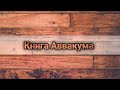 Розбір книги Аввакума. Богдан Шумчук