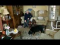 Safeguarding adults: helping people to protect themselves from crime