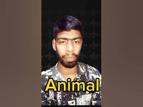 How to pronounce Animal #learnenglish #shorts #animal 