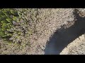 Извилистая река Кушавера вид с коптера