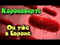 Коронавирус уже в Европе - Plague INC