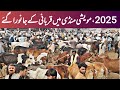 Mewsahi Mandi | Latest Update| Cattle Market|Cows Huge Mandi |Ring Road Mewsahi Mandi Peshawar