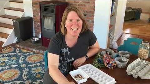 Seed Sorting Activity