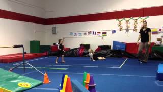 Gymtowne Mini Gym Minis Floor exercises take 2