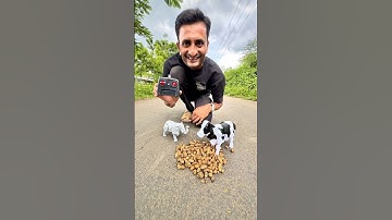 RC Cow and Elephant Unboxing | Remote Control Elephant Eat Peanut