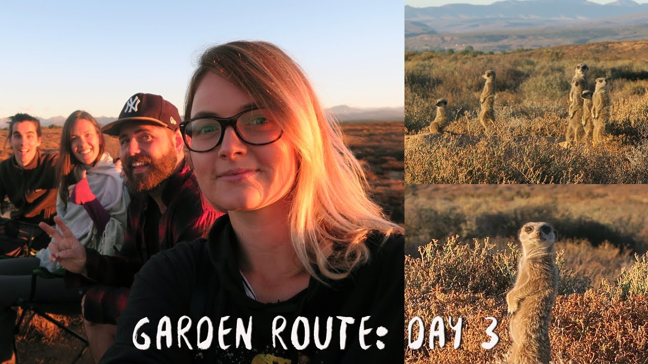 vegan recipes easy Meerkat Encounter Oudtshoorn | Africa Vlog 17