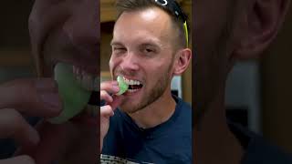 FREEZE DRYING OUR FAVORITE TREATS