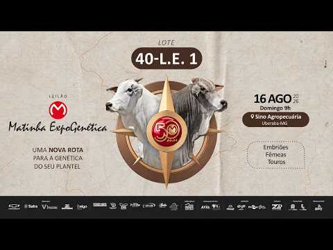 LOTE 40 L  E  1