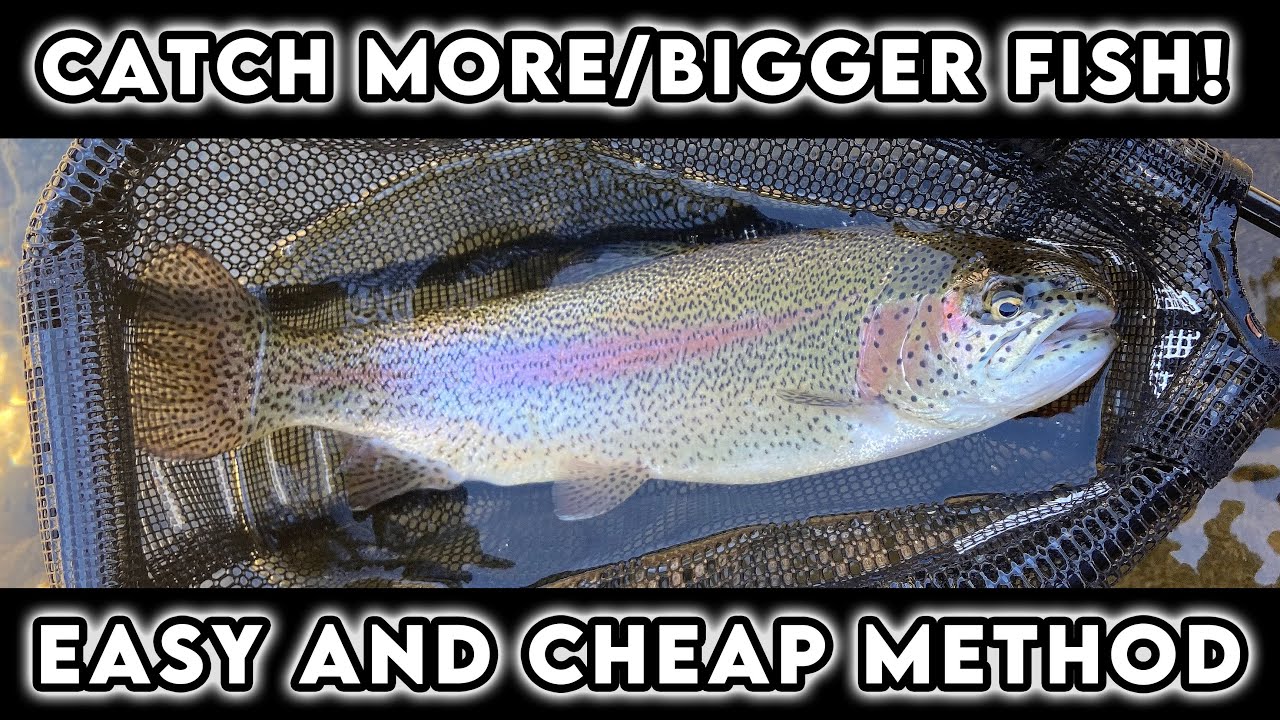 The BEST Trout Rig To Catch MORE/BIGGER Fish! ~How To Trout Fish