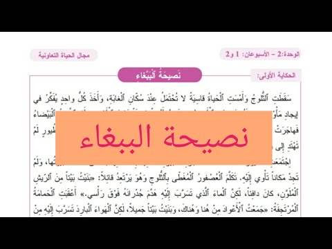 الحكاية 3 نصيحة الببغاء مكتوبة المفيد في اللغة العربية المستوى الثالث