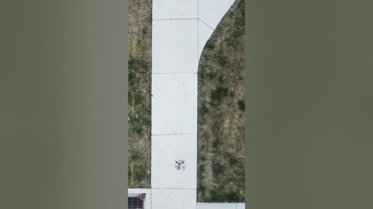 Kevin Plaizier developed the Lynchpin Drone robot.lifestyle shorts