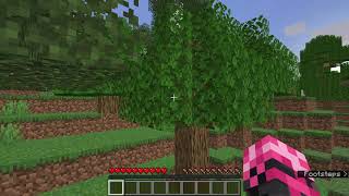 Minecraft but sleeping gives op items (Part 1)