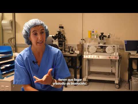 Video: ¿Puede un embrión apomíctico no fertilizado?