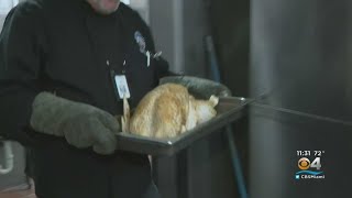 Miami Rescue Mission Feeds Homeless On Thanksgiving