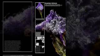 TouchDesigner is one of the best tools for real-time art
