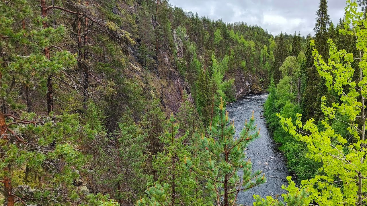 Kanjonin kurkkaus Oulanka