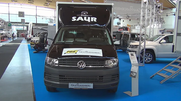 Volkswagen Transporter T6 Single Cab FGS Lorry Truck (2018) Exterior and Interior