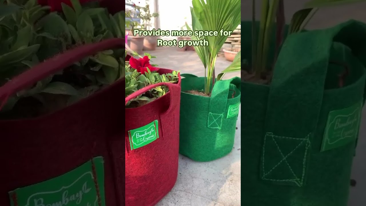 Geo Fabric Grow Bags🌱 