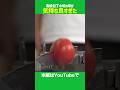 高級包丁の切れ味がひたすら気持ちいい動画 #包丁 #ウエストランド #マイベスト