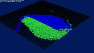 AAuxin: Pathfinding and Crowd Simulation