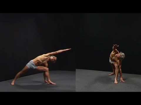 Spinal Movements Sequence (Part 19): Anatomy and Neurophysiology of Standing Postures bianca brandolini d'adda
