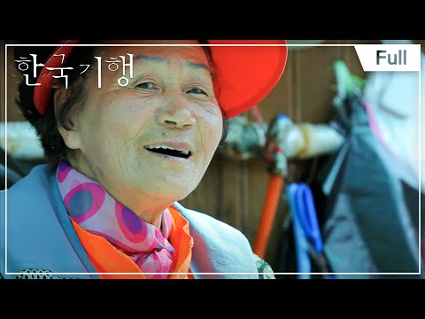 [Full] 한국기행 - <strong>나는</strong> 꾼이다 2부 항구에 그들이 <strong>산다</strong> 20170704