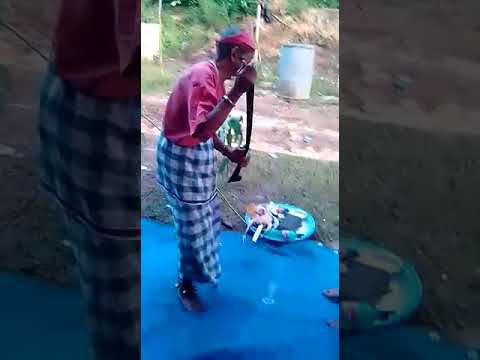 Basiak,daya bakati sebiha