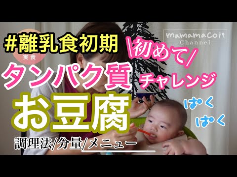【離乳食初期】はじめての豆腐　タンパク質