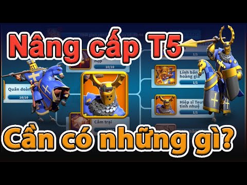 Video: Vật cố định t5 là gì?