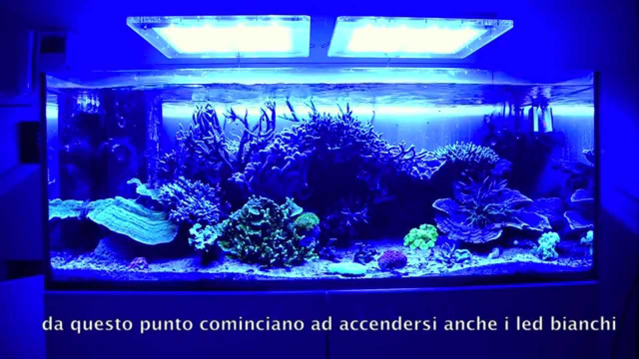 DaniReef presenta: Acquario marino - alba e tramonto - Sicce GNC AM466 Led  - YouTube