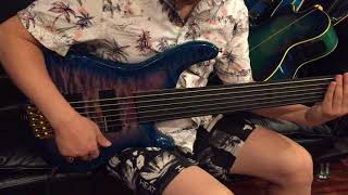 Wolf Ktb 6 String Fretless Bass By All In One Guitar
