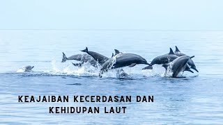 Tantangan Lumba-lumba: Keajaiban Kecerdasan dan Kehidupan Laut