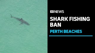 Shark fishing to be banned from all Perth beaches | ABC News screenshot 5