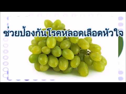 ประโยชน์ขององุ่นแต่ละสีองุ่น ประโยชน์ขององุ่น 8 โรคร้าย ป้องกันได้ด้วยองุ่นคราบสีขาวบนองุ่นคืออะไร อ