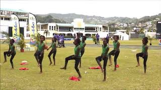 Inter Primary Schools' Cheerleading Competition 2018