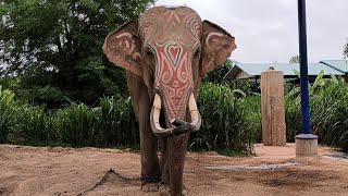 ลุ้นวันสุดท้ายพี่ทองกับดอกคูณจะทำงานมัย