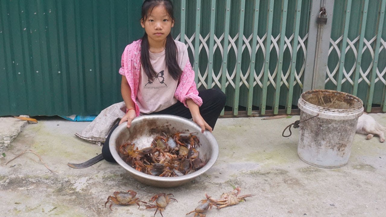 The girl went into the forest and looked for crabs - Go to the village ...